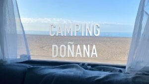 Todo lo que necesitas saber para disfrutar del mejor camping en Doñana, Huelva